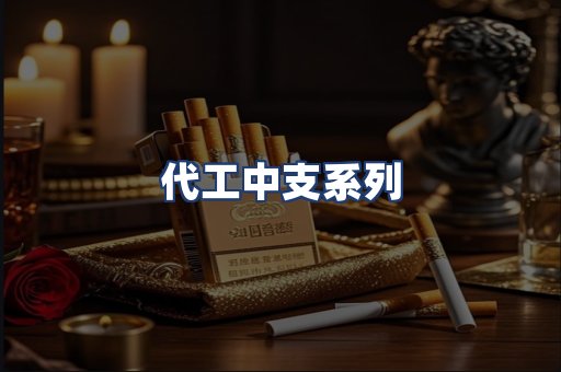 代工中支系列